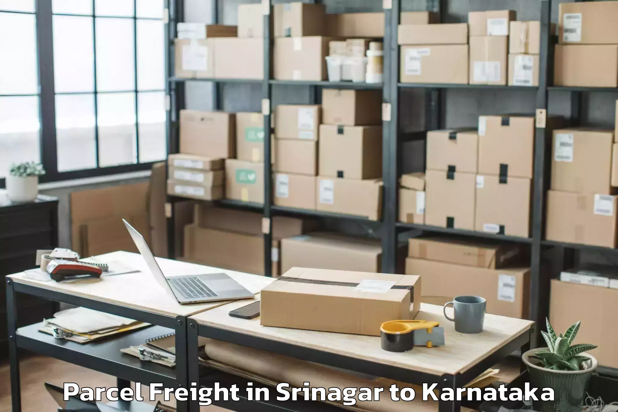 Affordable Srinagar to Mulbagal Parcel Freight